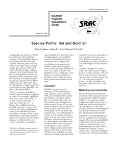 Species Profile: Koi and Goldfish - Alabama Cooperative Extension