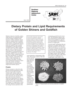 Dietary Protein and Lipid Requirements of Golden Shiners and
