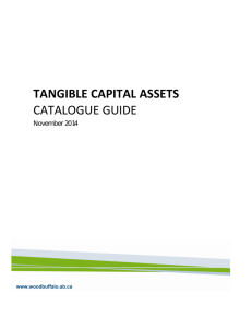 tangible capital assets catalogue guide