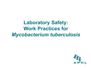 Laboratory Safety: Work Practices for Mycobacterium tuberculosis