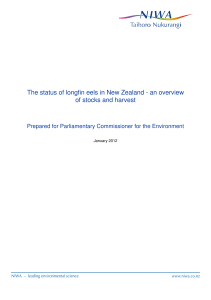 The status of longfin eels in New Zealand