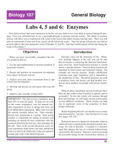 Biology 107 General Biology Labs 4, 5 and 6: Enzymes