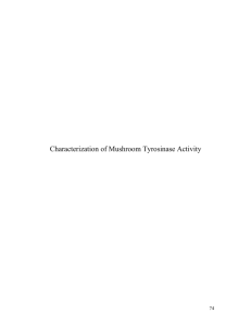 Characterization of Mushroom Tyrosinase Activity