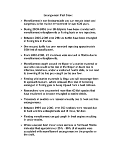 Entanglement Fact Sheet - Monofilament Recovery & Recycling
