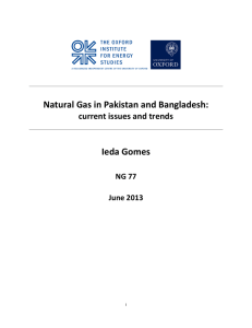 Natural Gas in South Asia Pakistan and Bangladesh: current issues