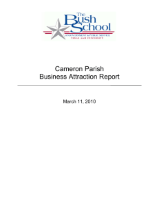 Cameron Parish Business Attraction Report