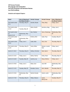 CIP Persona Practice AP Language and Composition CIP Final