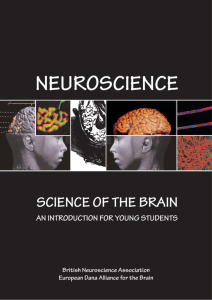 Neuroscience of the Brain