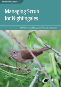 Managing Scrub for Nightingales