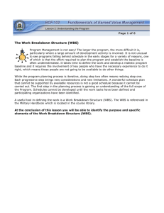 The Work Breakdown Structure (WBS)