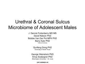 "Urethral & Coronal Sulcus Microbiome of Adolescent Males", J
