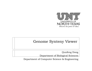 Genome Synteny Viewer