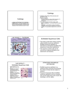 Cytology Cytology Exfoliated Squamous Cells