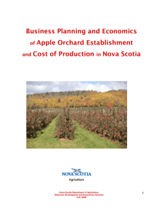 Business Planning and Economics of Apple Orchard Establishment