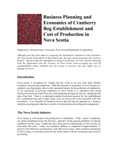 Business Planning and Economics of Cranberry Bog Establishment