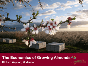 Economics of Growing Almonds
