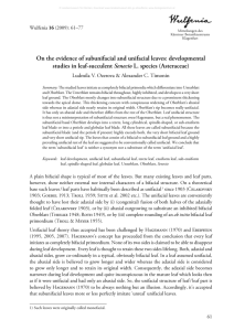 On the evidence of subunifacial and unifacial leaves: developmental