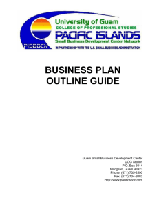 business plan outline guide - Pacific Island Small Business