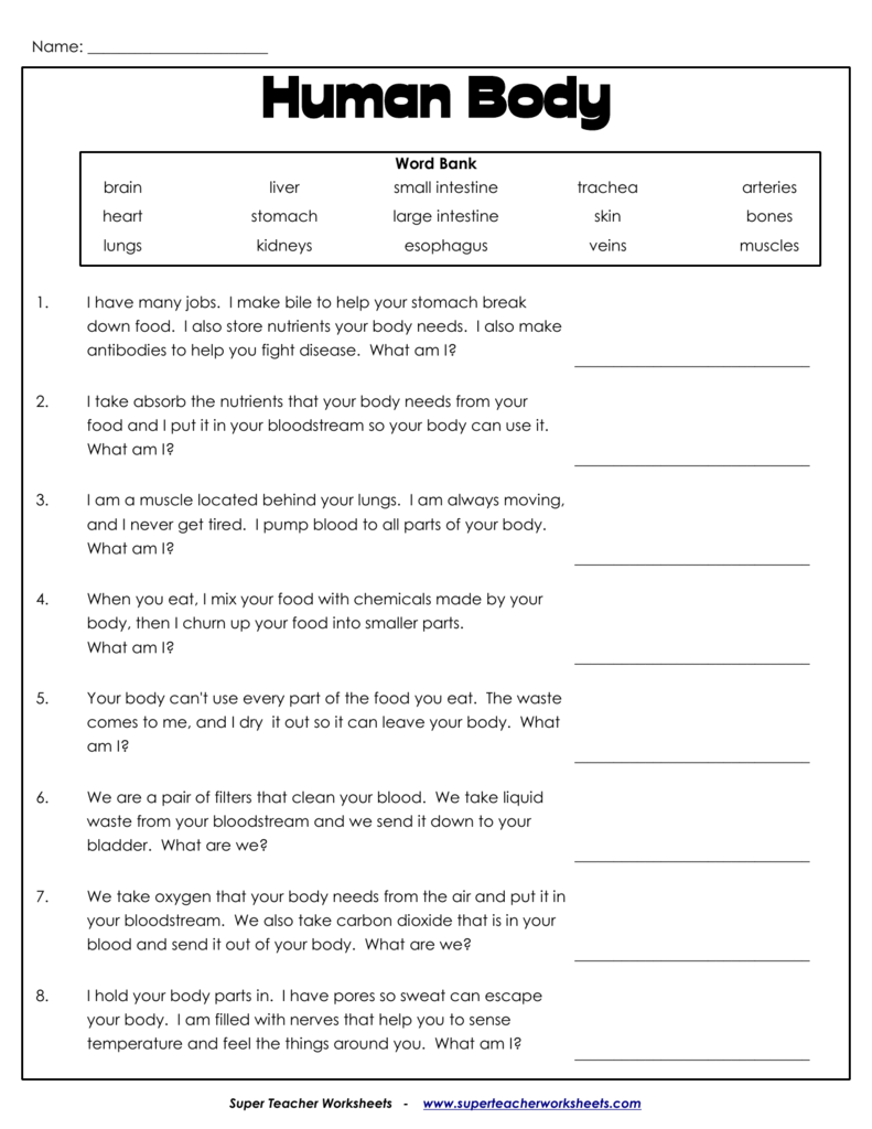 super-teacher-worksheet-answers