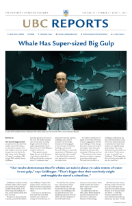 Whale Has Super-sized Big Gulp