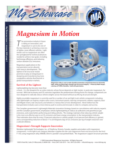 Magnesium in Motion - International Magnesium Association