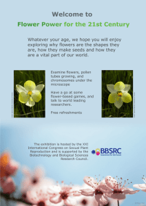 Flower Power in the 21st Century - International Association of
