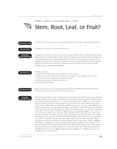 Stem, Root, Leaf, or Fruit?