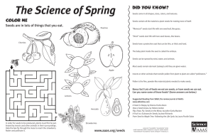 Science of Spring Activity Sheet
