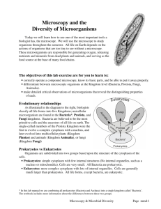 Microscopy and the Diversity of Microorganisms