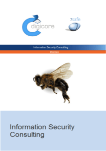 Information Security Consulting