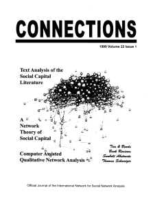 Text Analysis of the Social Capital Literature Network
