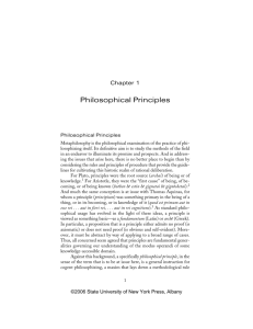 Philosophical Principles