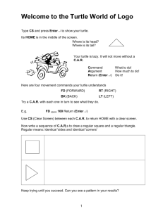 Student Manual 'Welcome to the Turtle World of Logo'