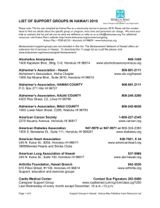 list of support groups in hawai'i 2010