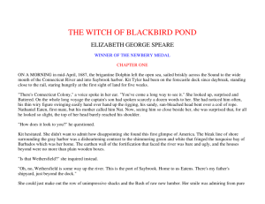 The Witch of Blackbird Pond - Delta Academy of Applied Learning
