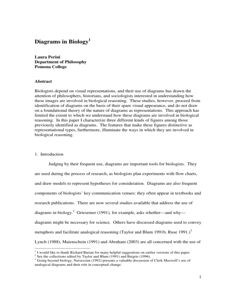 diagrams-in-biology