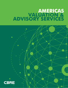 AMERICAS VALUATION & ADVISORY SERVICES