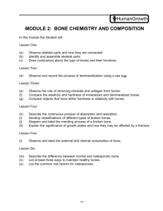 Human Growth MODULE 2: BONE CHEMISTRY AND COMPOSITION