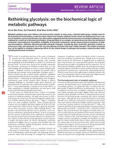 Rethinking glycolysis: on the biochemical logic of metabolic pathways