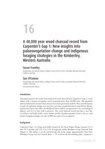 A 40,000 year wood charcoal record from Carpenter's Gap 1: New