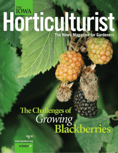 The Iowa Horticulturist