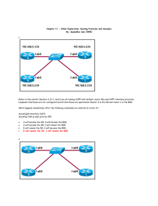 Chapter 11 - CCNA Exploration: Routing Protocols and Concepts By