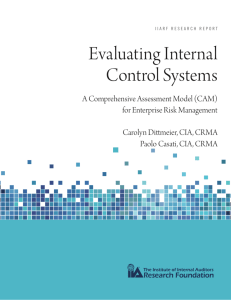 Evaluating Internal Control Systems