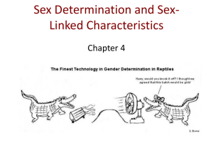 Sex Determination and Sex-Linked Characteristics