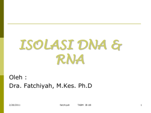 Isolasi DNA-RNA elktroforesi