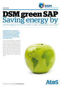 DSM green SAP