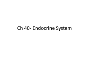 Ch 40- Endocrine System