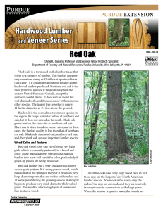 Hardwood Lumber and Veneer Series: Red Oak