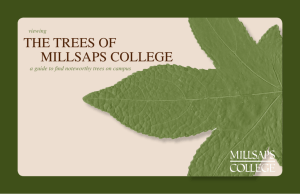 THE TREES OF MILLSAPS COLLEGE