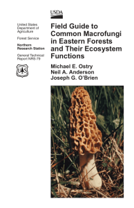 Field guide to common macrofungi in eastern forests